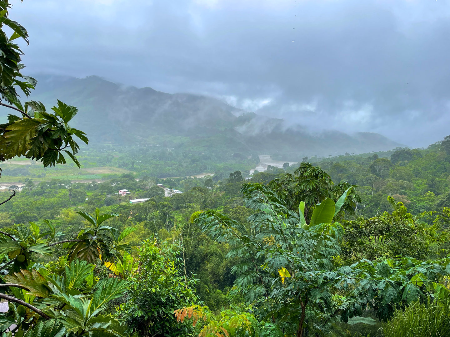 Tropical Mountain Rainforest Climate in southern Ecuador