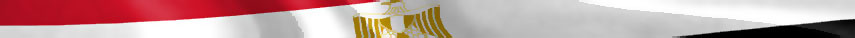 Egypt Flag detail 