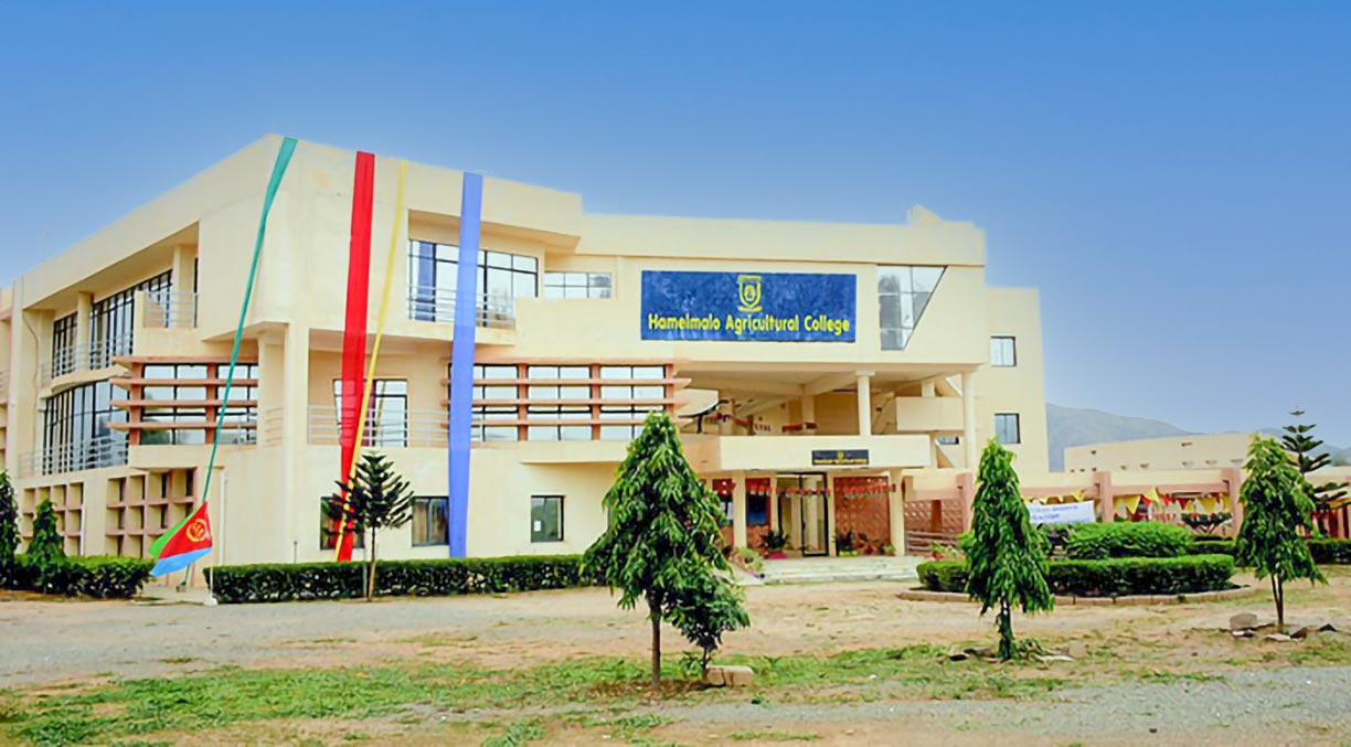 Building of the Hamelmalo Agricultural College in Keren.