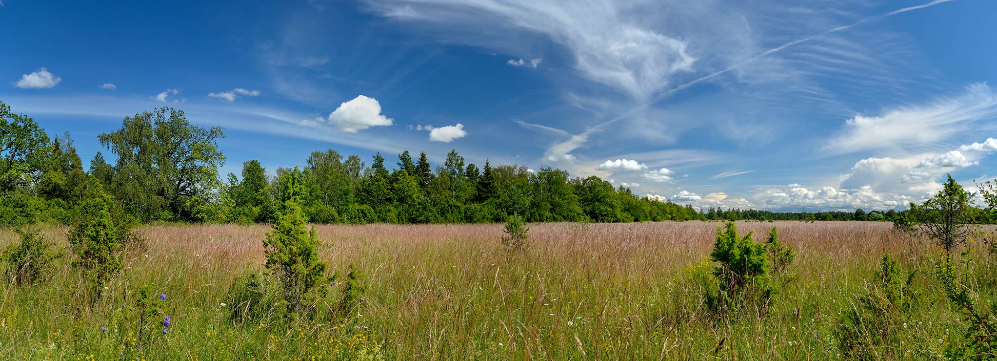Alvar Landscape near Keila in Harju County of Estonia
