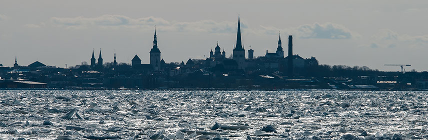 Tallin silhouette