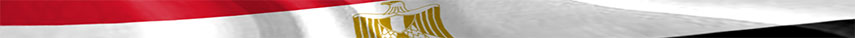 Egypt Flag detail