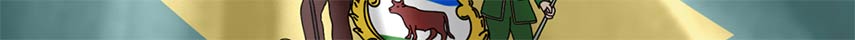 Delaware Flag detail