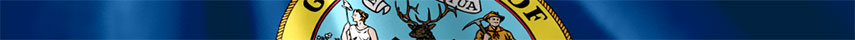 Idaho Flag detail