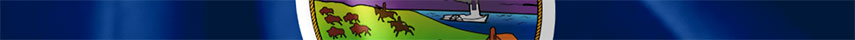 Kansas Flag detail