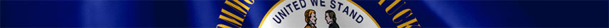 Kentucky Flag detail