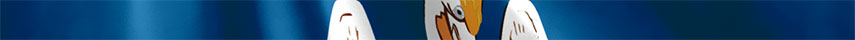 Louisiana Flag detail