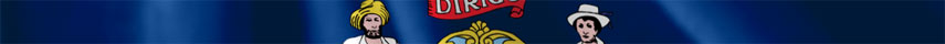 Maine Flag detail