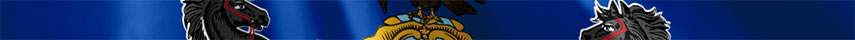 Pennsylvania flag detail