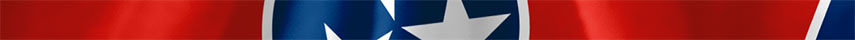 Tennessee Flag detail