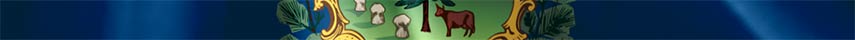 Vermont Flag detail