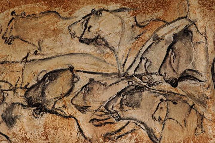 Cave paintings in the Cave of Pont d’Arc, France