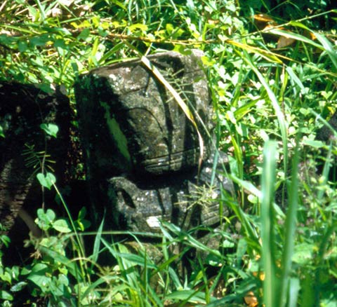 Tiki in Tohua valley on Hiva Oa of the Marquesas