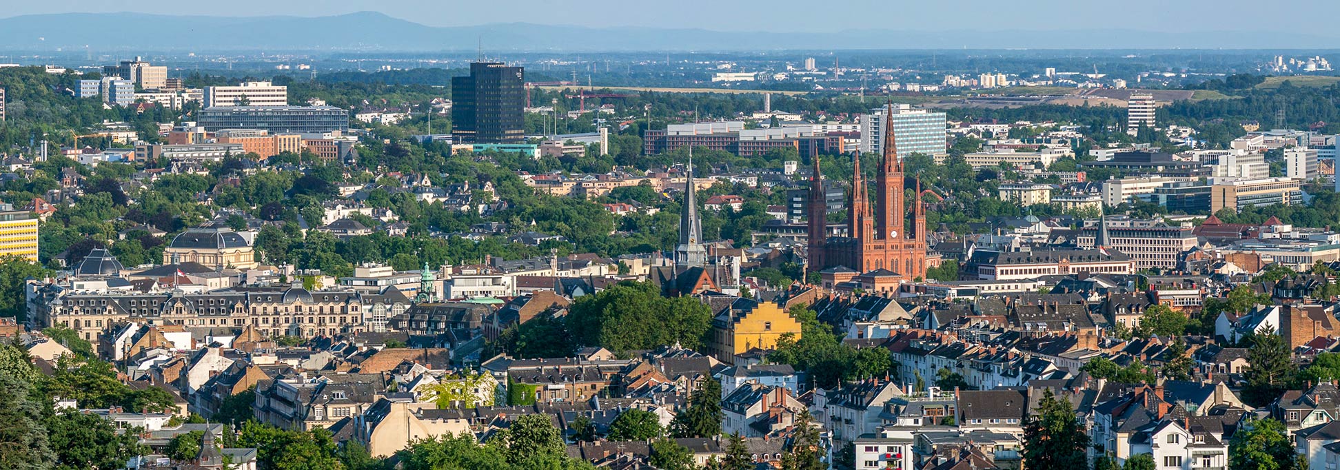 View of Wiesbaden and Marktkirche from Neroberg