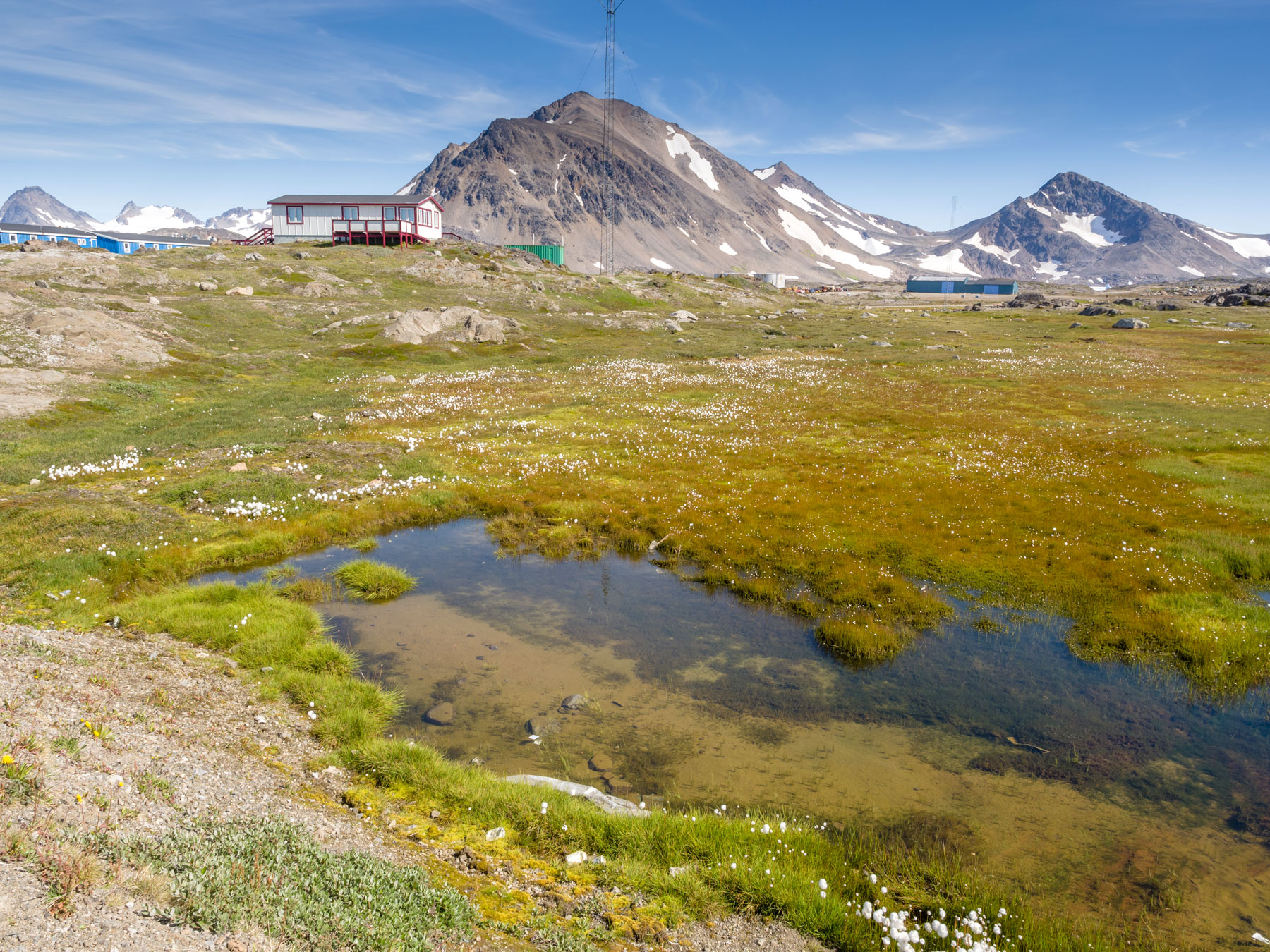 Greenland in summer