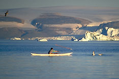 Kayak hunting, Greenland