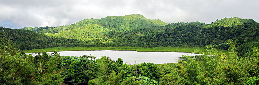 Grand Etang Nature Reserve Crater lake