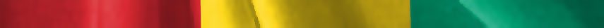 Guinea flag detail