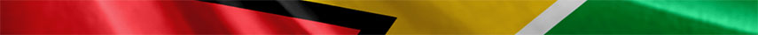Guyana  Flag detail
