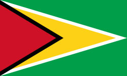 Guyana Flag