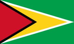 Guyana Flag