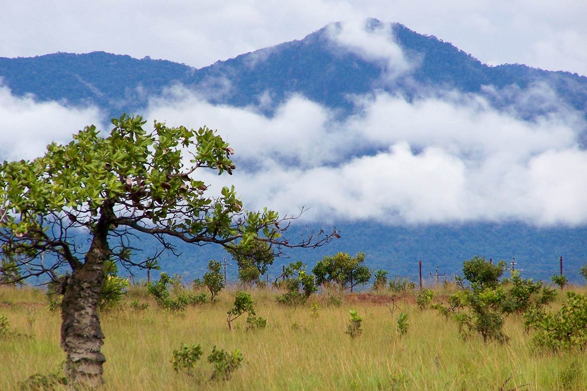 Kanuku Mountains near Lethem, Guyana