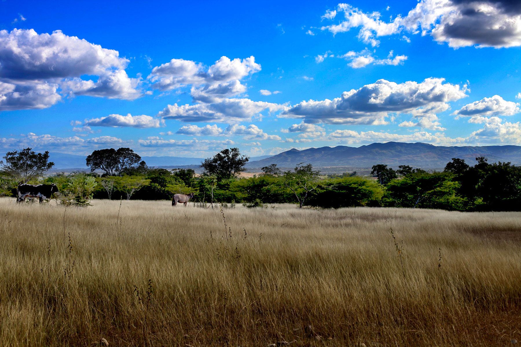 Colladere landscape