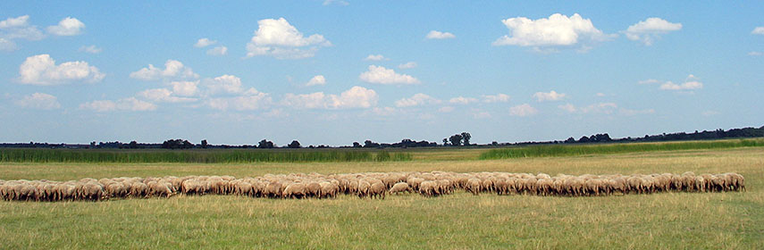 Hortobágy National Park, Hungary