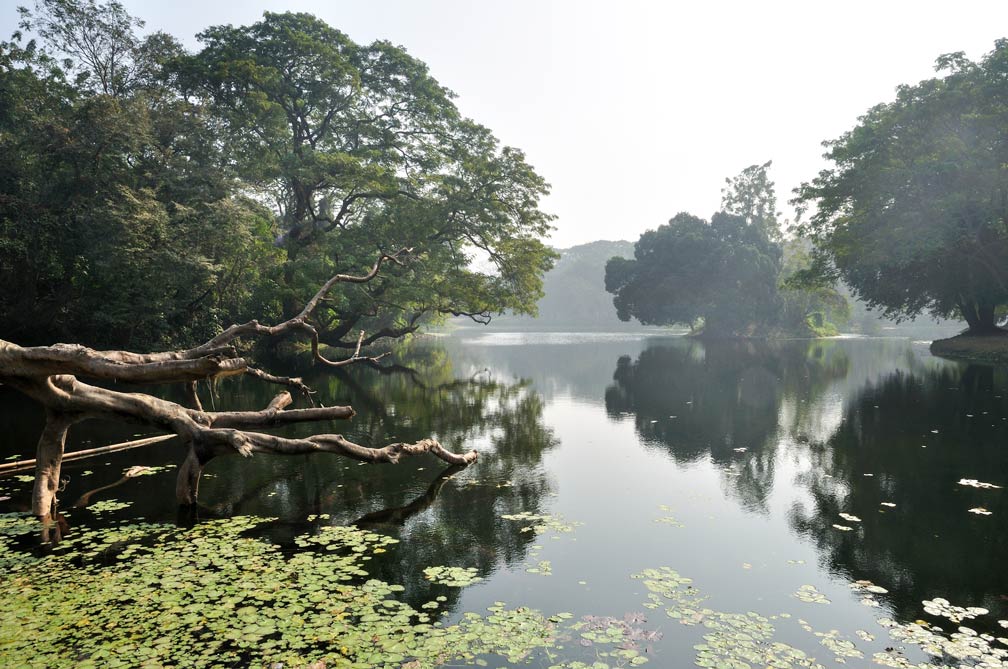 The Indian Botanic Garden at Howrah