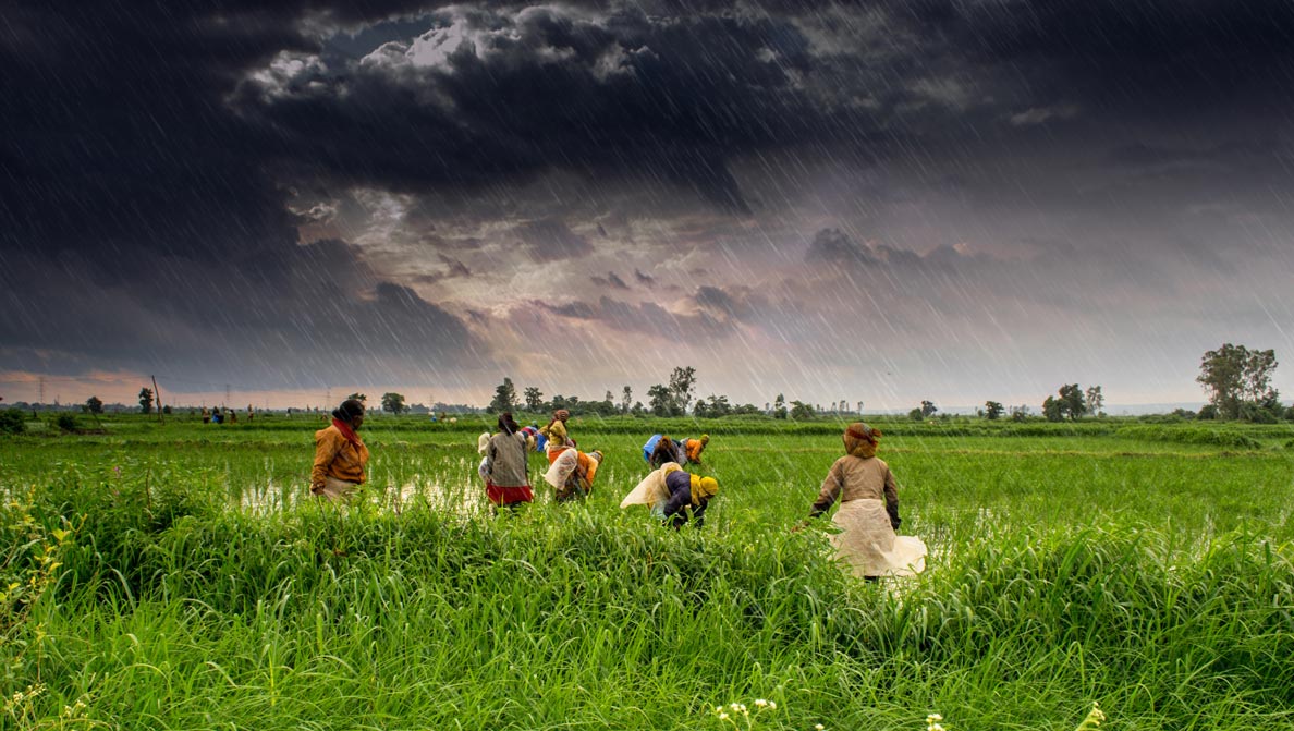 Lush green valleys of Madhya Pradesh, India