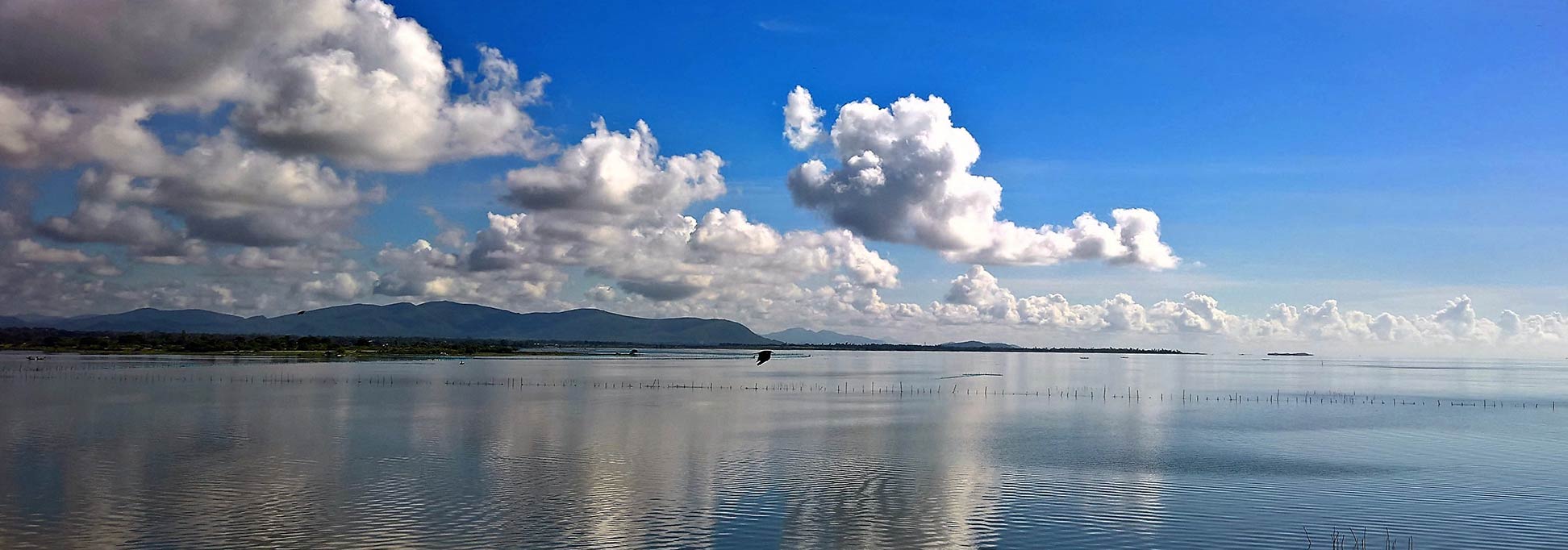 Chilika Lake in the  Puri, Khurda and Ganjam districts of Odisha