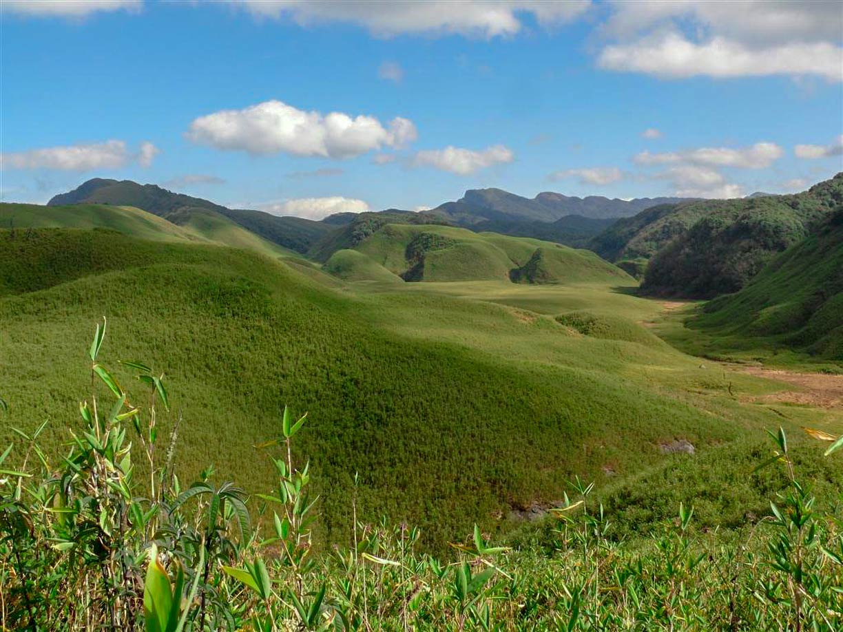 Dzukou Valley, Manipur, India