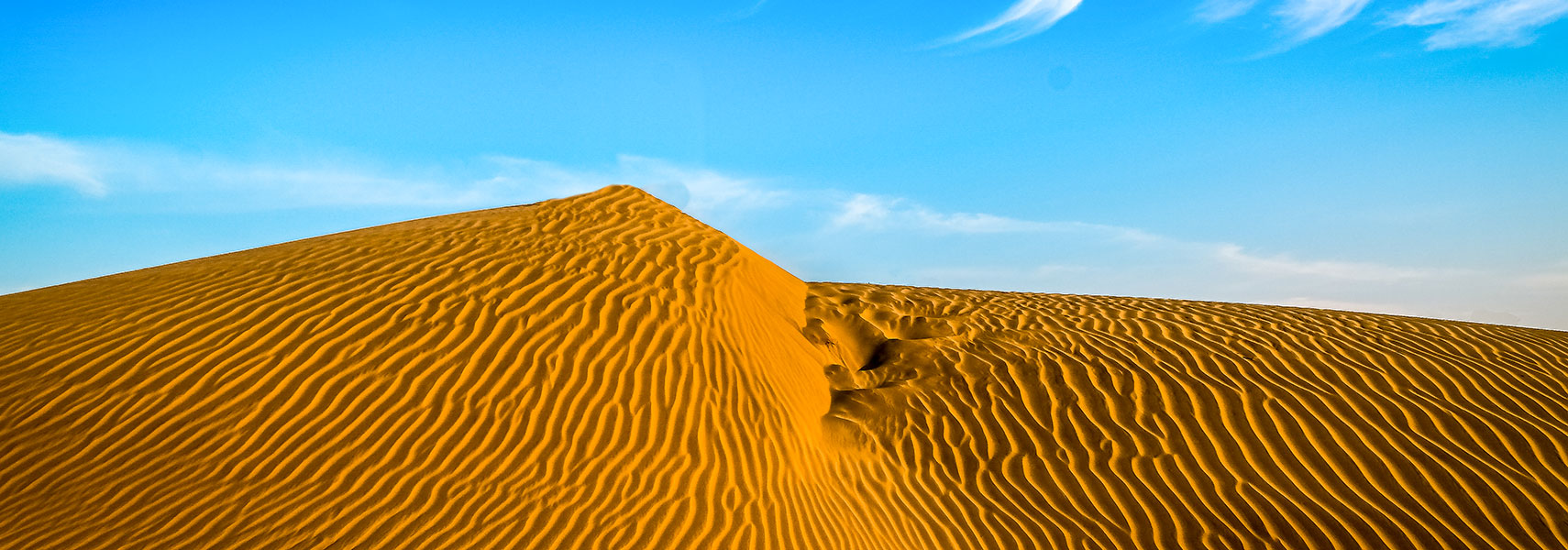Thar Desert, Desert National Park, Sudasari near Jaisalmer, Rajasthan, India