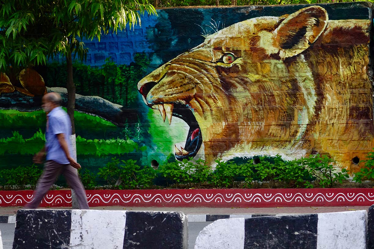 Arte de Rua em Hyderabad