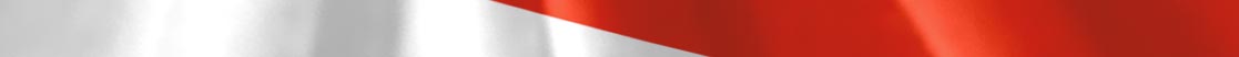 Indonesia Flag detail 