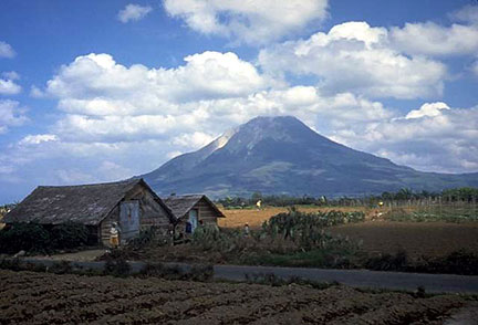 Sinabung volcano