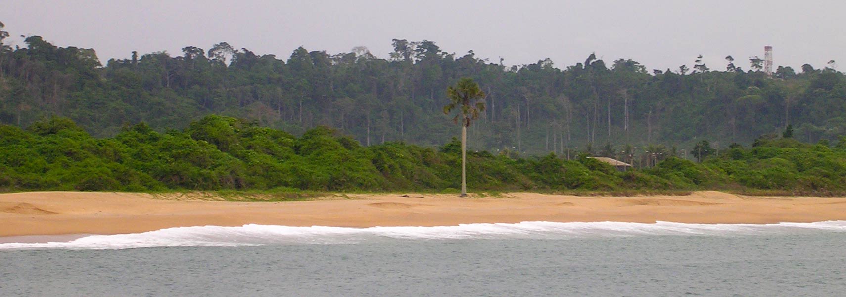 La côte d'Ivoire