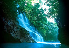 jamaica land of wood