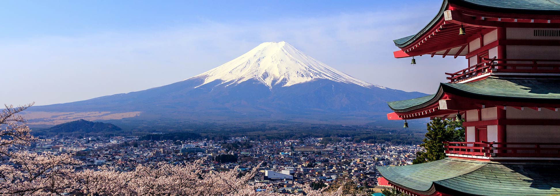 A pagoda, Mount Fuji and cherry blossoms in Japan