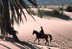 Jordan Desert