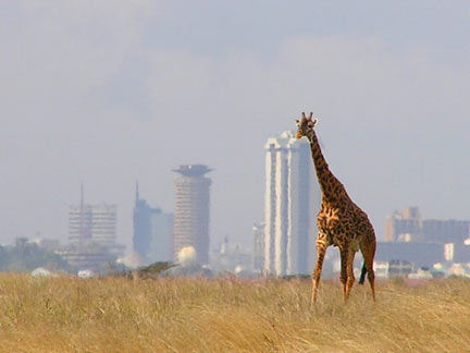 Nairobi-Park with Nairobi skyline