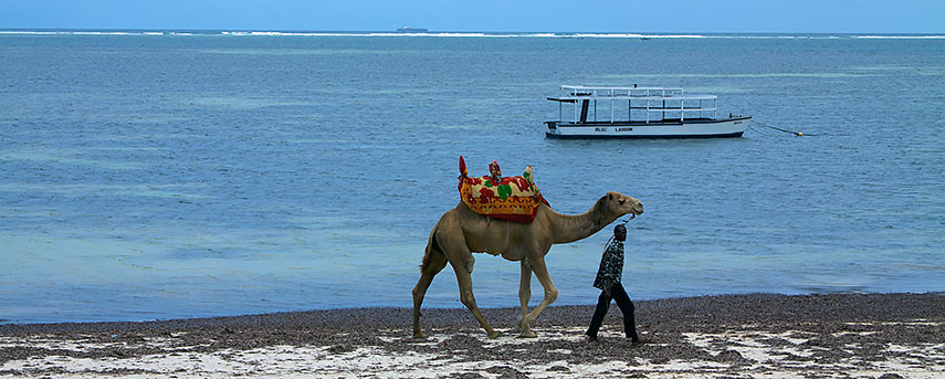 Mombasa beach, Kenya