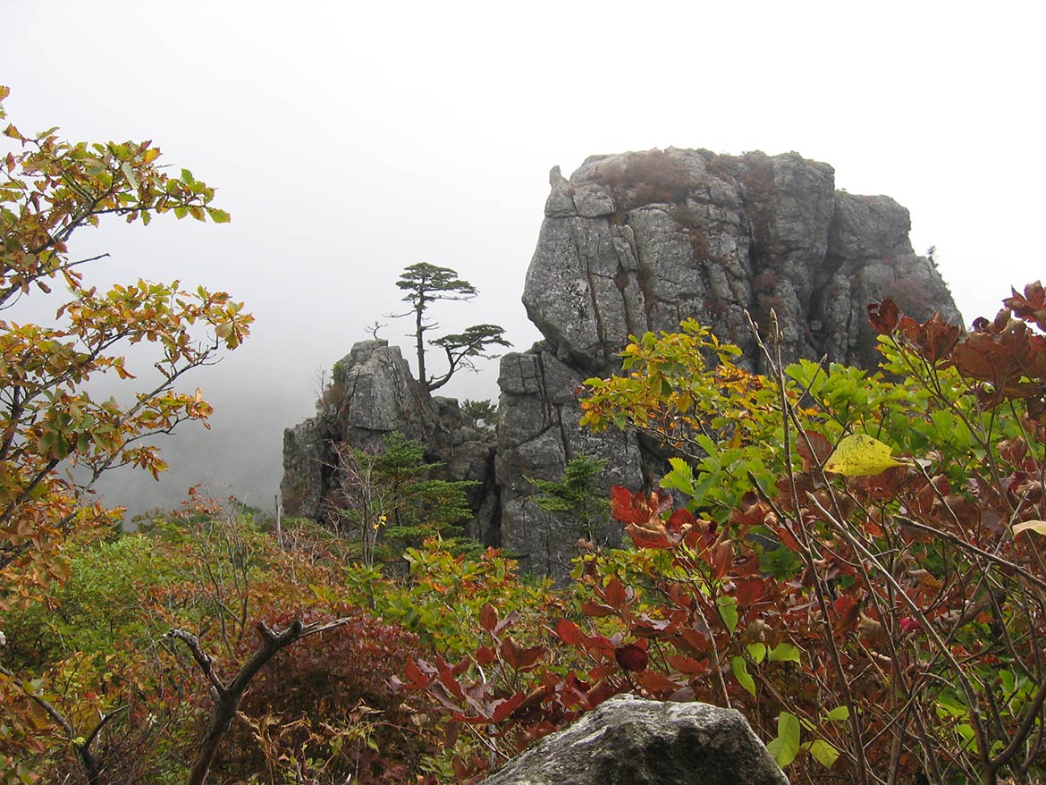 Jirisan mountain, South Korea