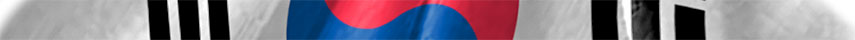 South Korea flag detail