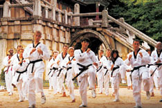 Taekwondo