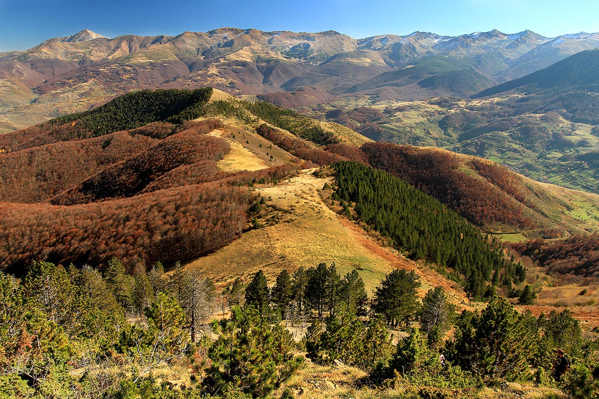 The Šar Mountain Range seen from Pashallora mountain.