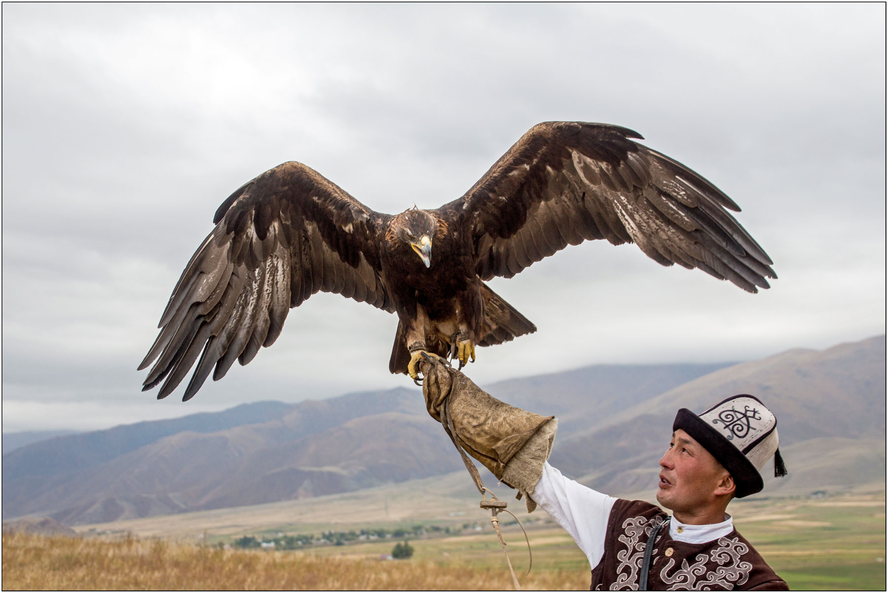 A traditional golden eagle hunter