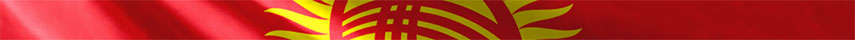 Kyrgyzstan Flag detail 