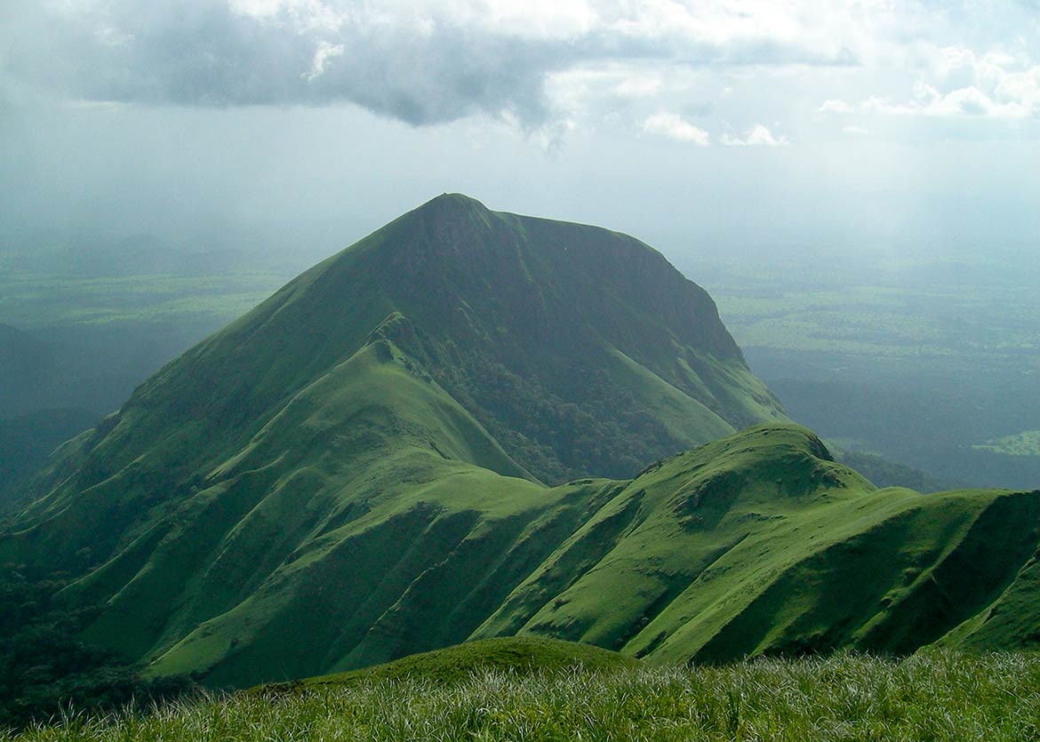 Mount Nimba within Mount Nimba Strict Nature Reserve