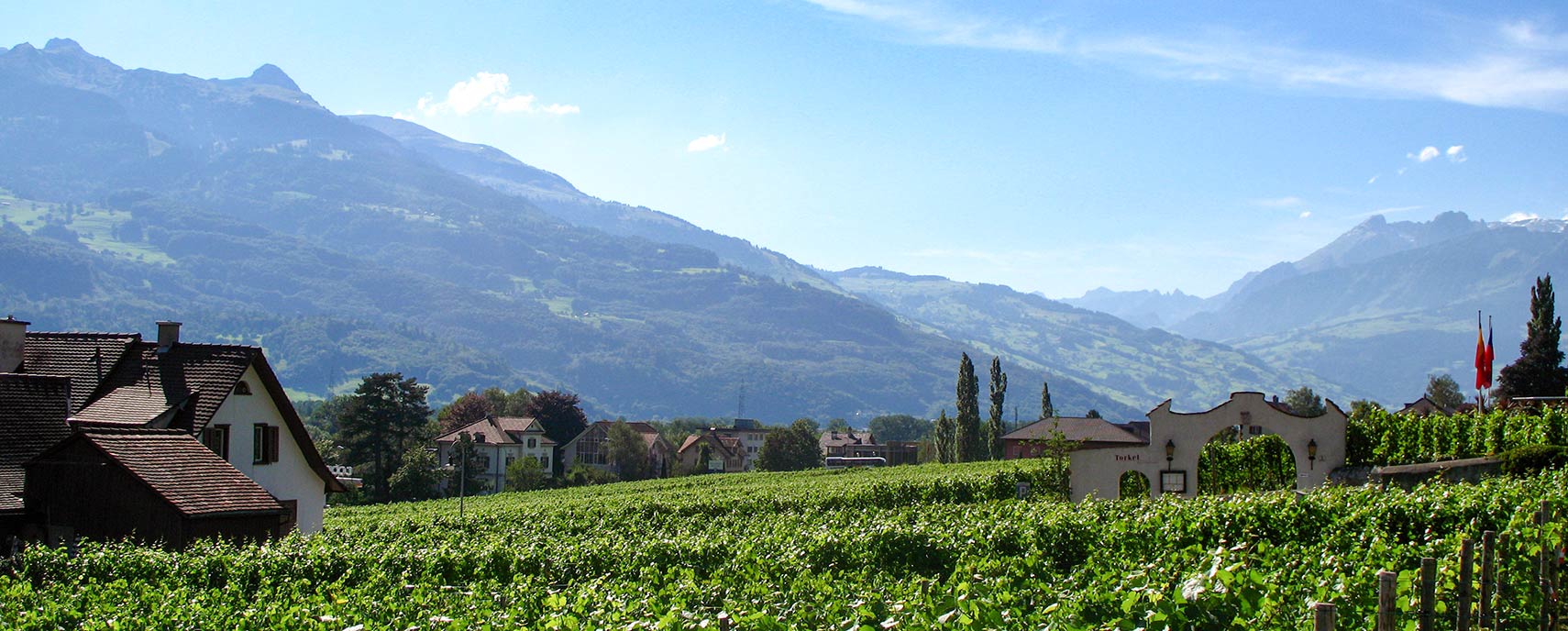 Vineyards in Vaduz, capital of Liechtenstein